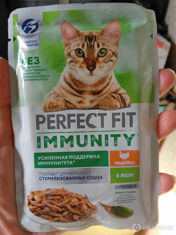 Perfect fit immunity для кошек. Перфект фит желе. Перфект фит иммуно.