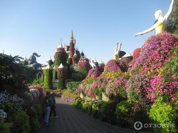 Отзыв о Парк цветов Miracle Garden (ОАЭ, Дубаи) | Восхитительная ...