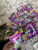 Продукция Whiskas фото