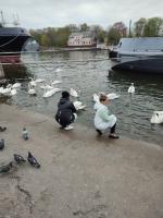 Отдых в Балтийске (Россия) фото