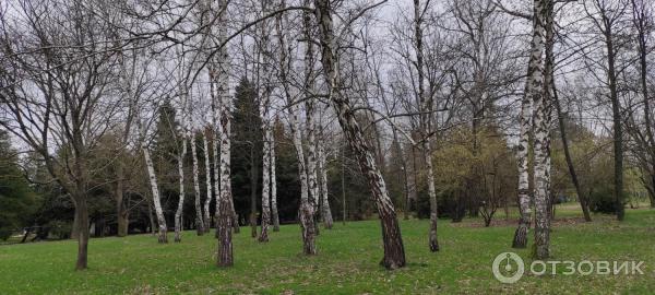 Дендропарк в п. Гончарка Сад камней (Россия, Адыгея) фото