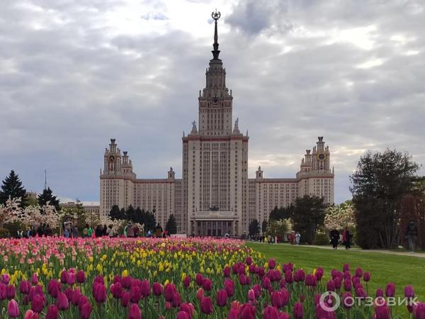 Московский государственный университет им. Ломоносова (Россия, Москва) фото