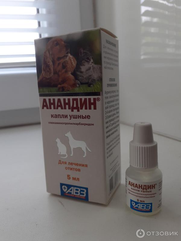 Отзыв о Капли ушные Анандин для лечения отита у собак и кошек | Наконец ...