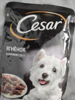 Корм для собак Cesar фото