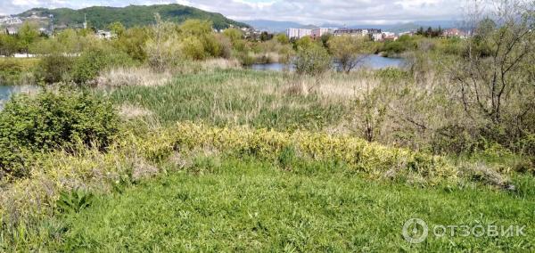 Отдых в Имеретинской низменности (Россия, Сочи) фото