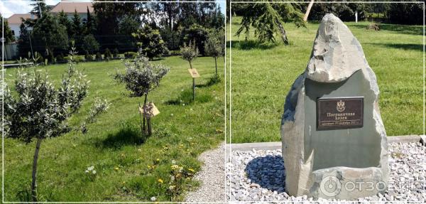Отдых в Имеретинской низменности (Россия, Сочи) фото