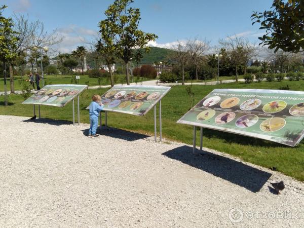 Отдых в Имеретинской низменности (Россия, Сочи) фото