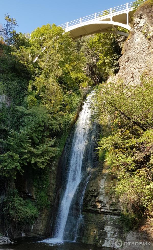 Ботанический сад (Грузия, Тбилиси) фото