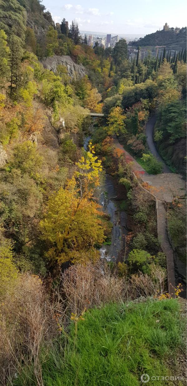 Ботанический сад (Грузия, Тбилиси) фото