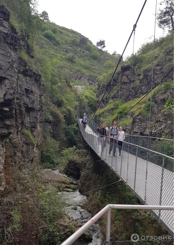 Ботанический сад (Грузия, Тбилиси) фото