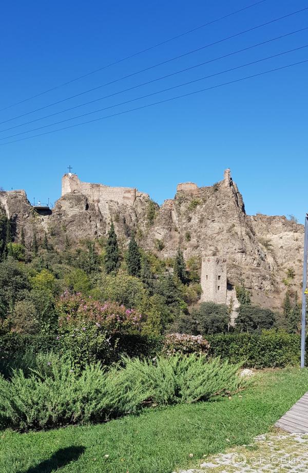 Ботанический сад (Грузия, Тбилиси) фото