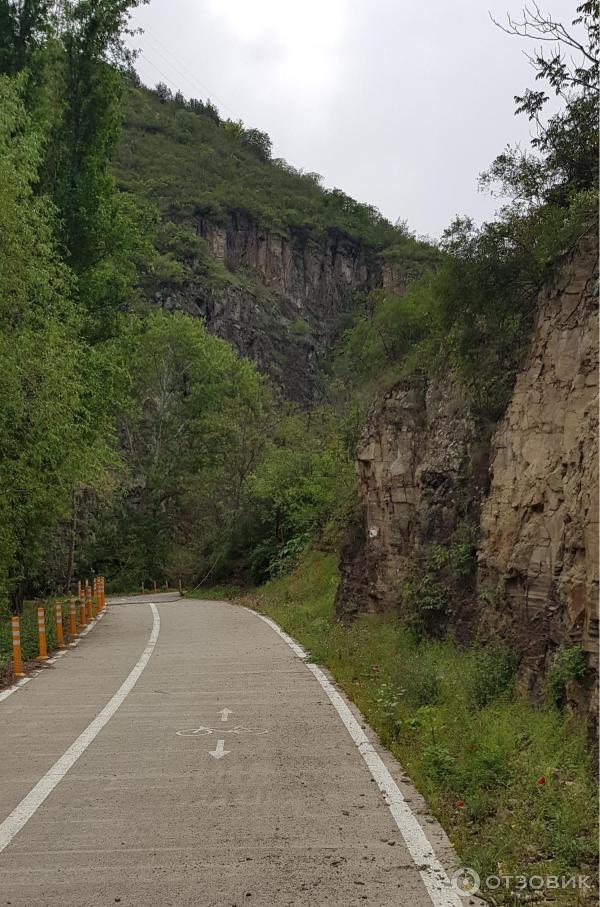 Ботанический сад (Грузия, Тбилиси) фото