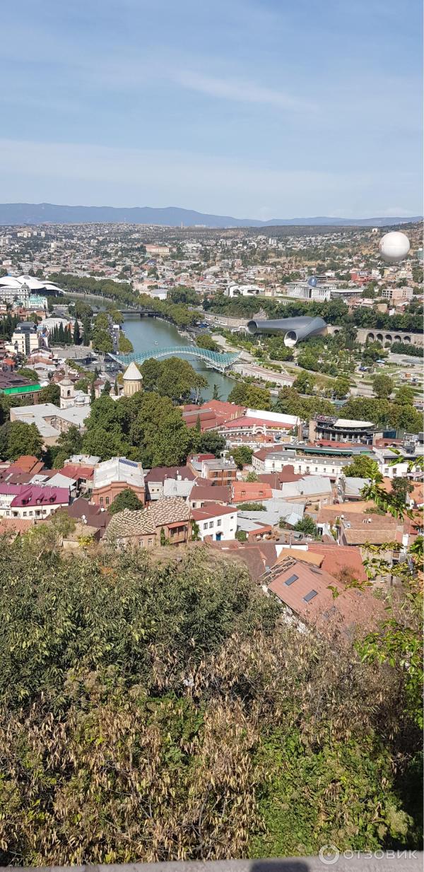 Ботанический сад (Грузия, Тбилиси) фото