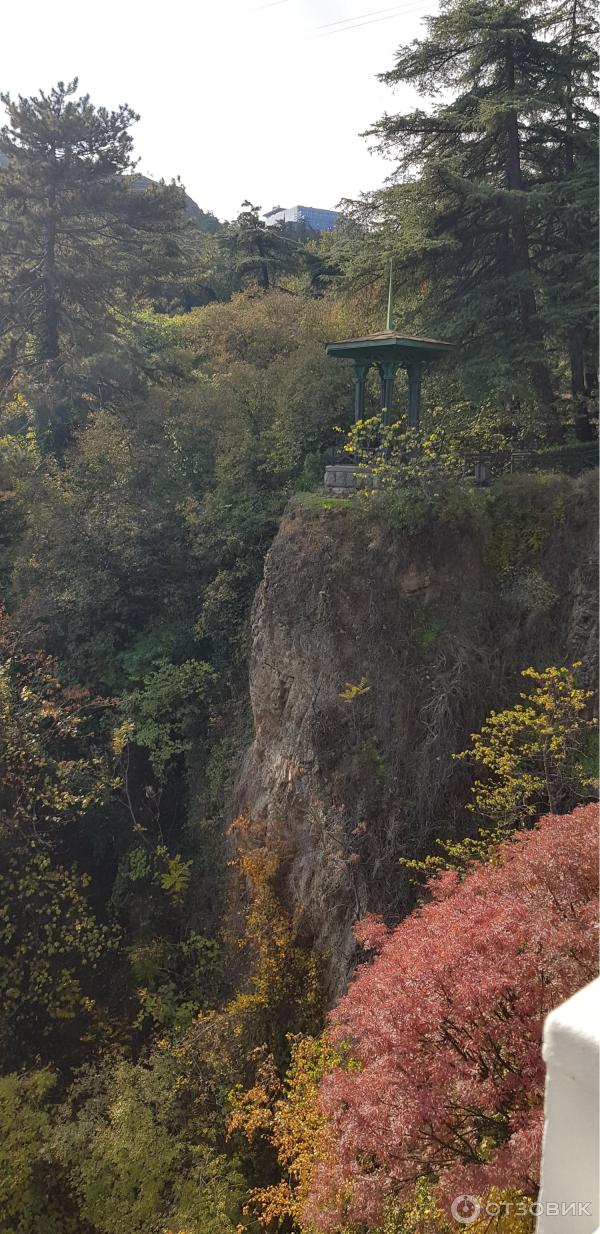 Ботанический сад (Грузия, Тбилиси) фото