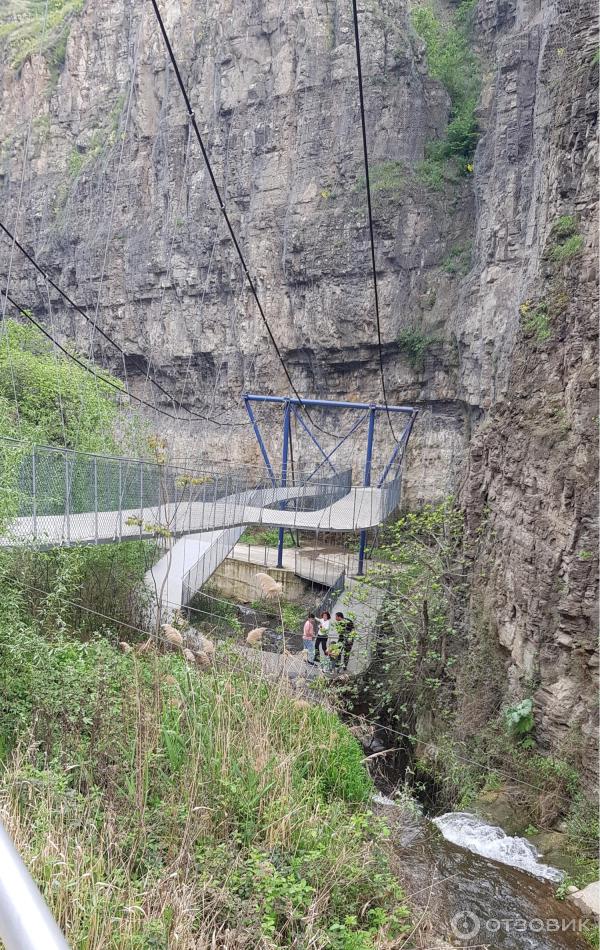 Ботанический сад (Грузия, Тбилиси) фото