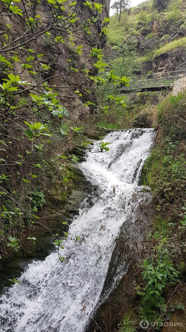 Ботанический сад (Грузия, Тбилиси) фото