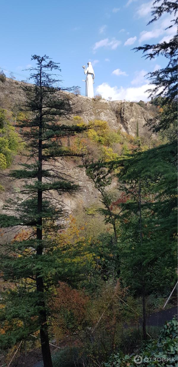 Ботанический сад (Грузия, Тбилиси) фото