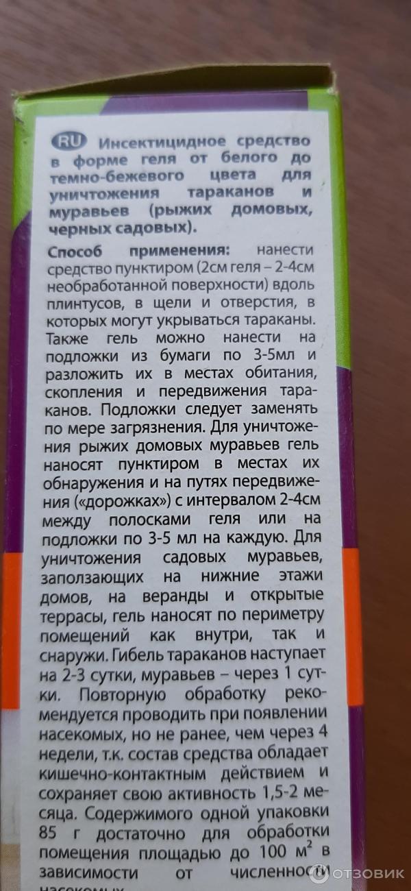 Гель от тараканов и муравьев Дезпром Прошка Домовой фото