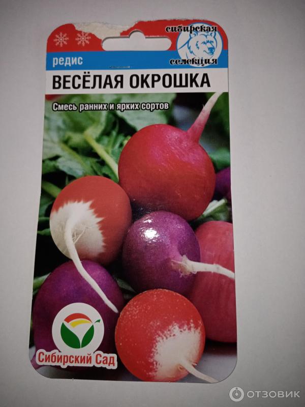Редис не стрелкуется сорта. Редис крупный. редис веселая окрошка сибсад. разноцветная редиска. редиска разноцветная семена.