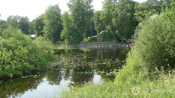 Озеро Вуокса (Россия, Приозерск) фото