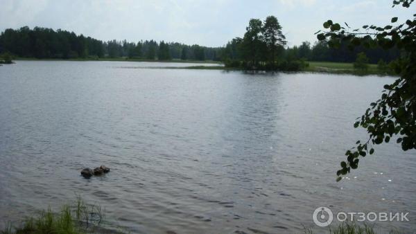 Озеро Вуокса (Россия, Приозерск) фото