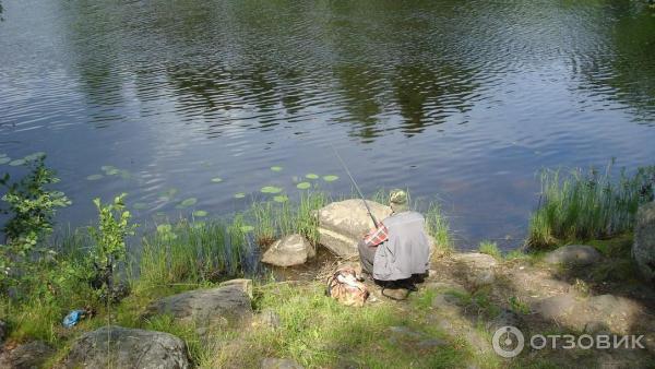 Озеро Вуокса (Россия, Приозерск) фото