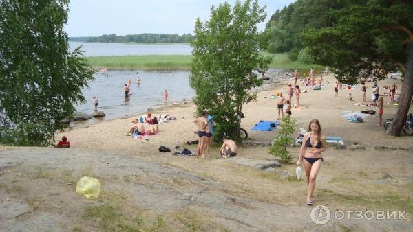 Озеро Вуокса (Россия, Приозерск) фото