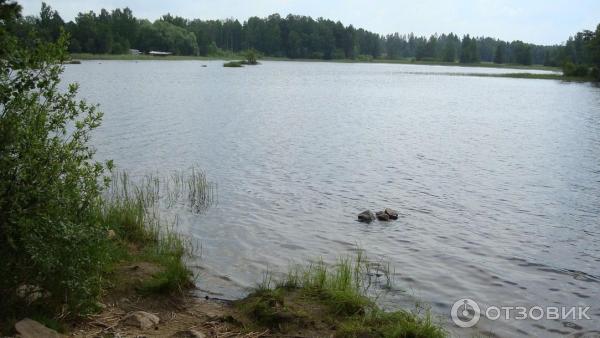 Озеро Вуокса (Россия, Приозерск) фото