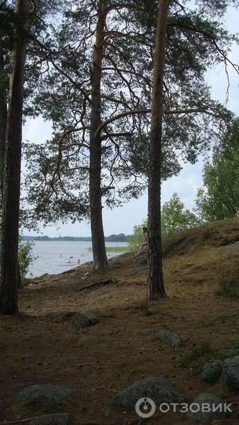 Озеро Вуокса (Россия, Приозерск) фото