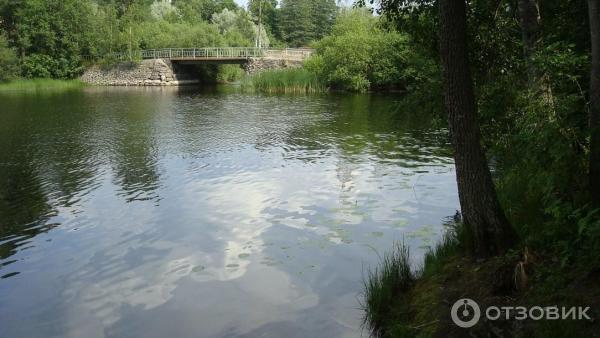 Озеро Вуокса (Россия, Приозерск) фото