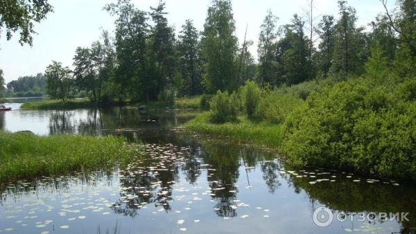Озеро Вуокса (Россия, Приозерск) фото