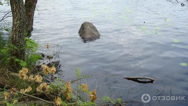 Озеро Вуокса (Россия, Приозерск) фото
