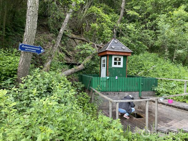 Монастырь Шамордино (Россия, Калужская область) фото