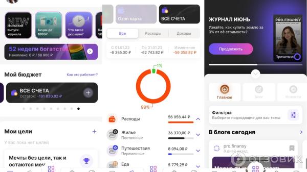 Profinansy.net - онлайн-академия создания капитала Ольги Гогаладзе фото