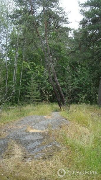 Экологический маршрут Остров Каменистый (Россия, Приозерск) фото