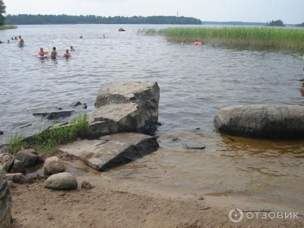 Экологический маршрут Остров Каменистый (Россия, Приозерск) фото