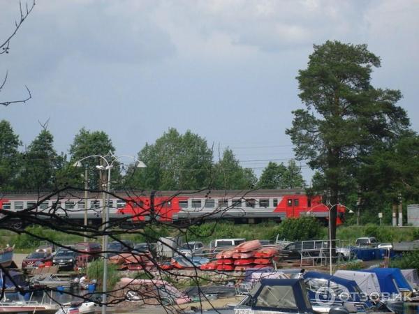 Экологический маршрут Остров Каменистый (Россия, Приозерск) фото