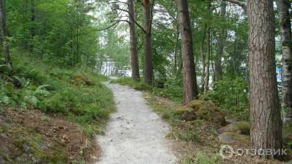 Экологический маршрут Остров Каменистый (Россия, Приозерск) фото