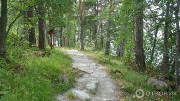 Экологический маршрут Остров Каменистый (Россия, Приозерск) фото