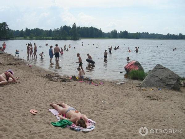 Экологический маршрут Остров Каменистый (Россия, Приозерск) фото