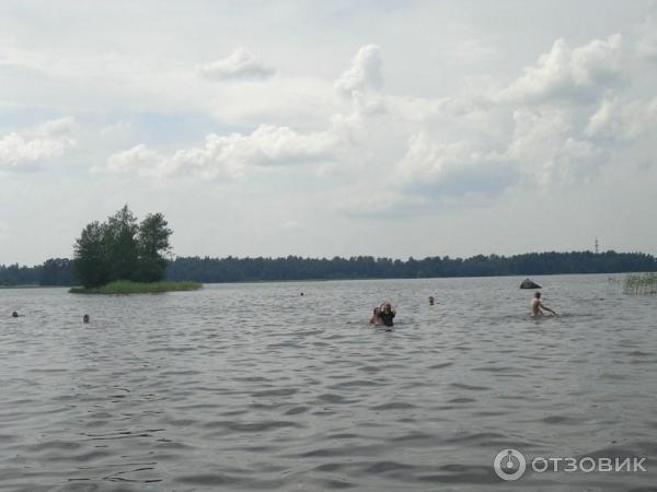 Экологический маршрут Остров Каменистый (Россия, Приозерск) фото