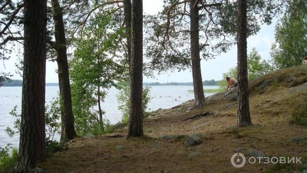 Экологический маршрут Остров Каменистый (Россия, Приозерск) фото