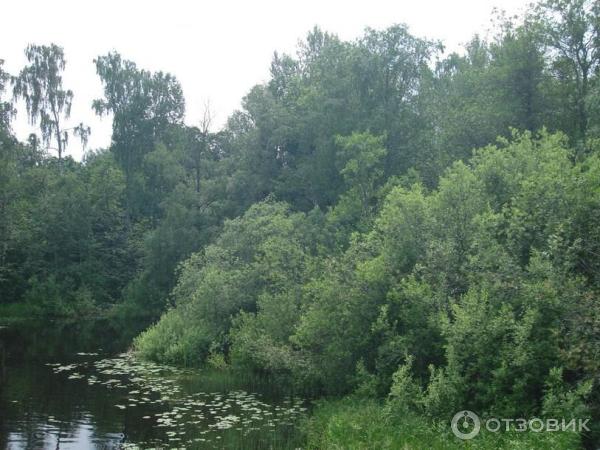 Экологический маршрут Остров Каменистый (Россия, Приозерск) фото