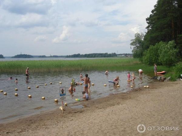 Экологический маршрут Остров Каменистый (Россия, Приозерск) фото