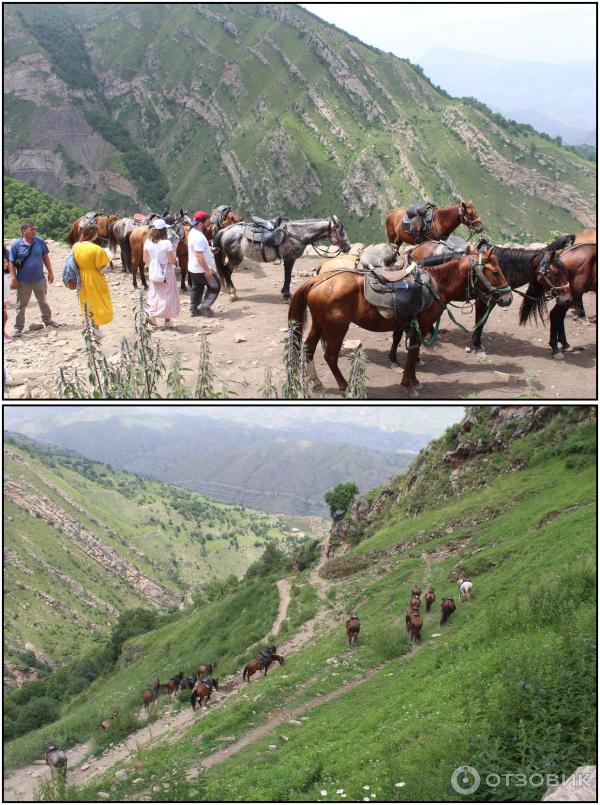 Экскурсия по старинному селу Гамсутль (Россия, Дагестан) фото