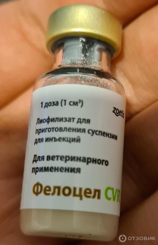 Фелоцел вакцина для кошек цена