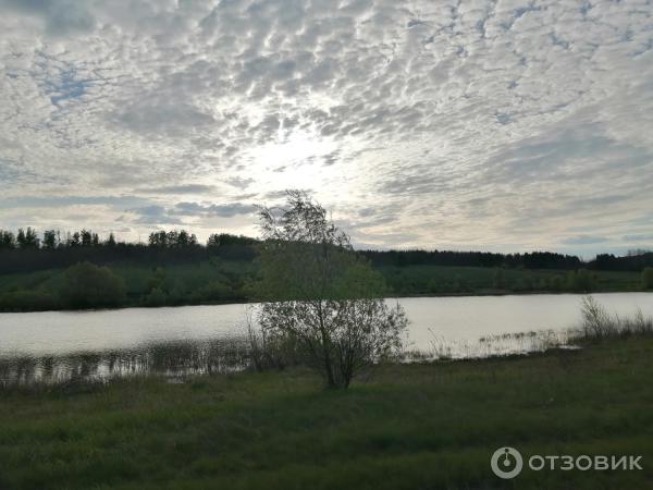 Отдых в Воронежской области (Россия) фото