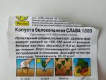 Семена капусты белокочанной Аэлита "Слава 1305" фото