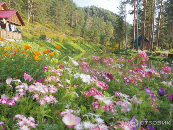 Форелевые озера (Россия, Алтайский край) фото