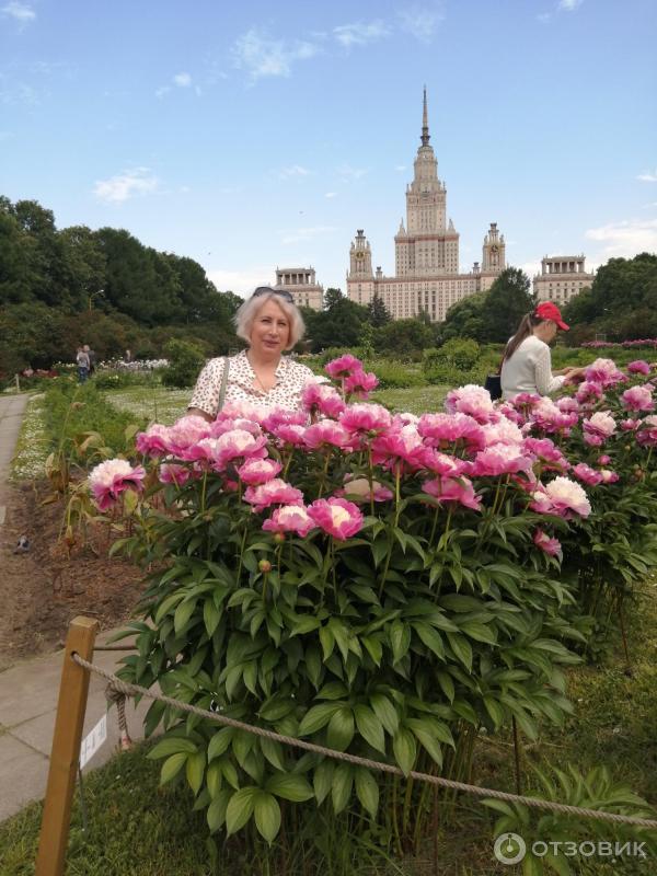 Мгу пионы ботанический